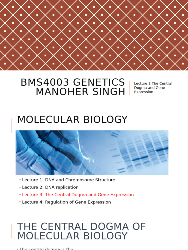Central Dogma of Molecular Biology | PDF | Rna | Translation (Biology)