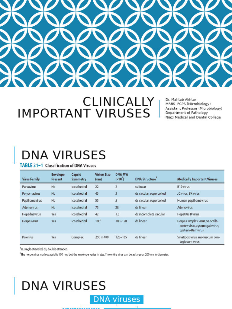 Clinically Important Viruses 3 | PDF | Influenza | Virus