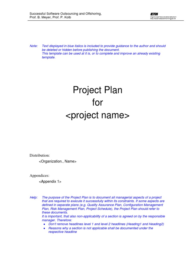 Template Project Plan | PDF