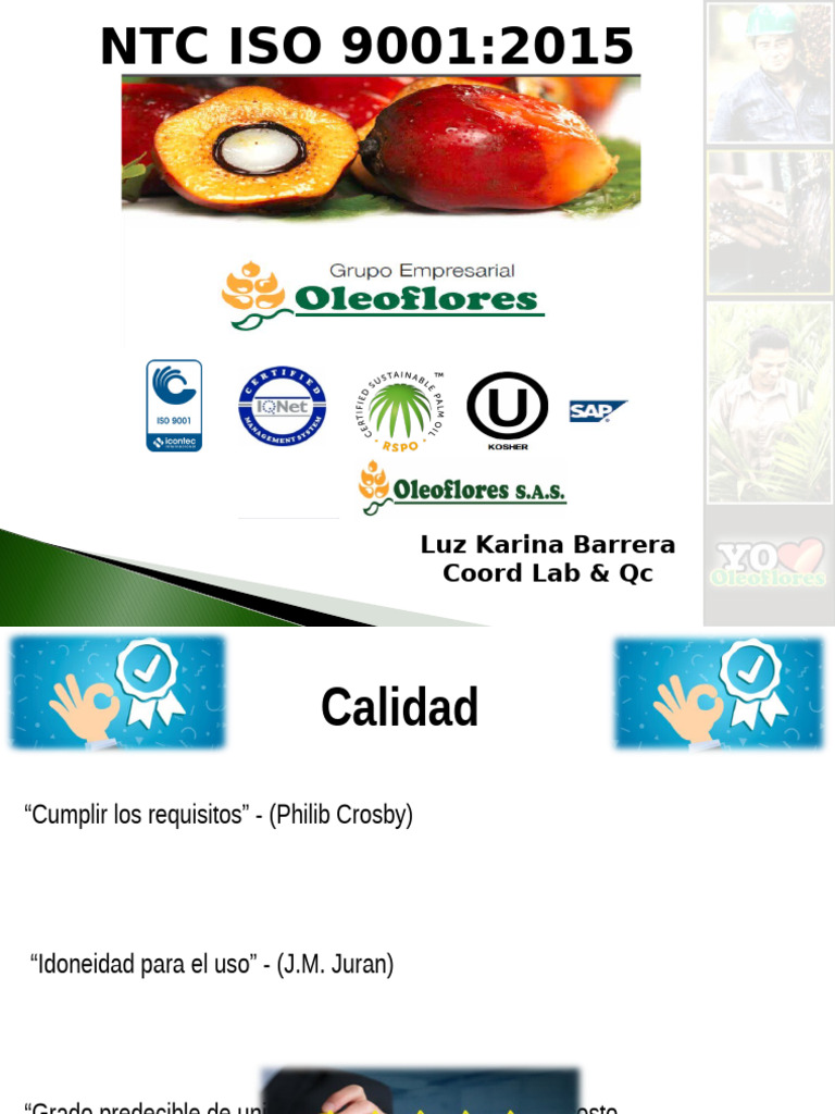 Guía sobre ISO 9001:2015 y Calidad | PDF | Calidad (comercial ...