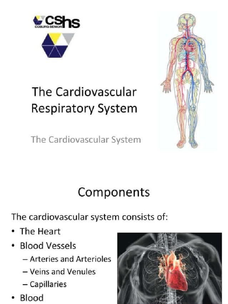 Cardio Respiratory | PDF