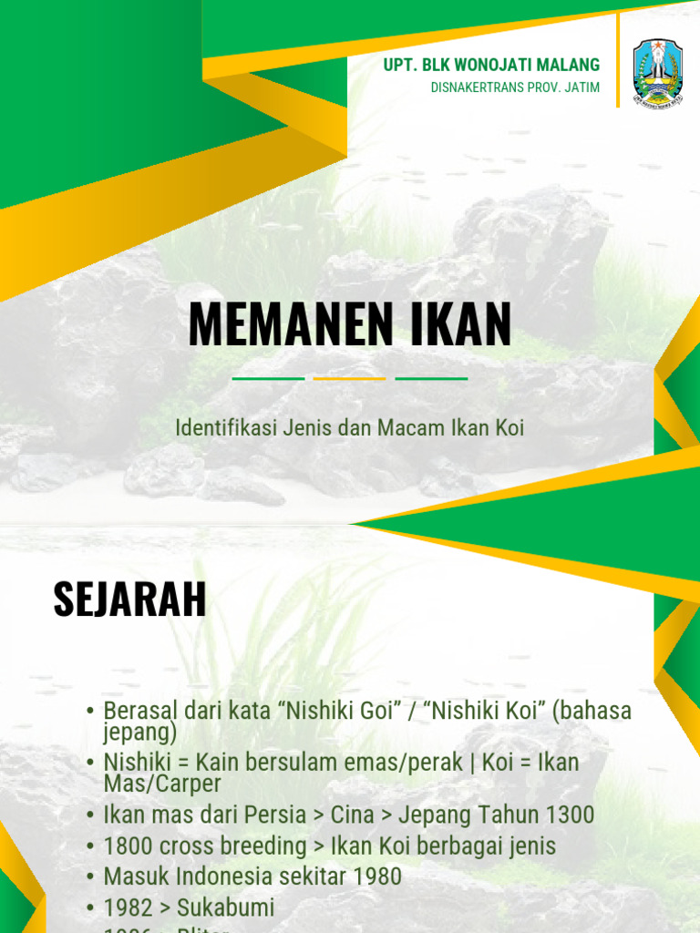 Panduan Lengkap Jenis Ikan Koi | PDF