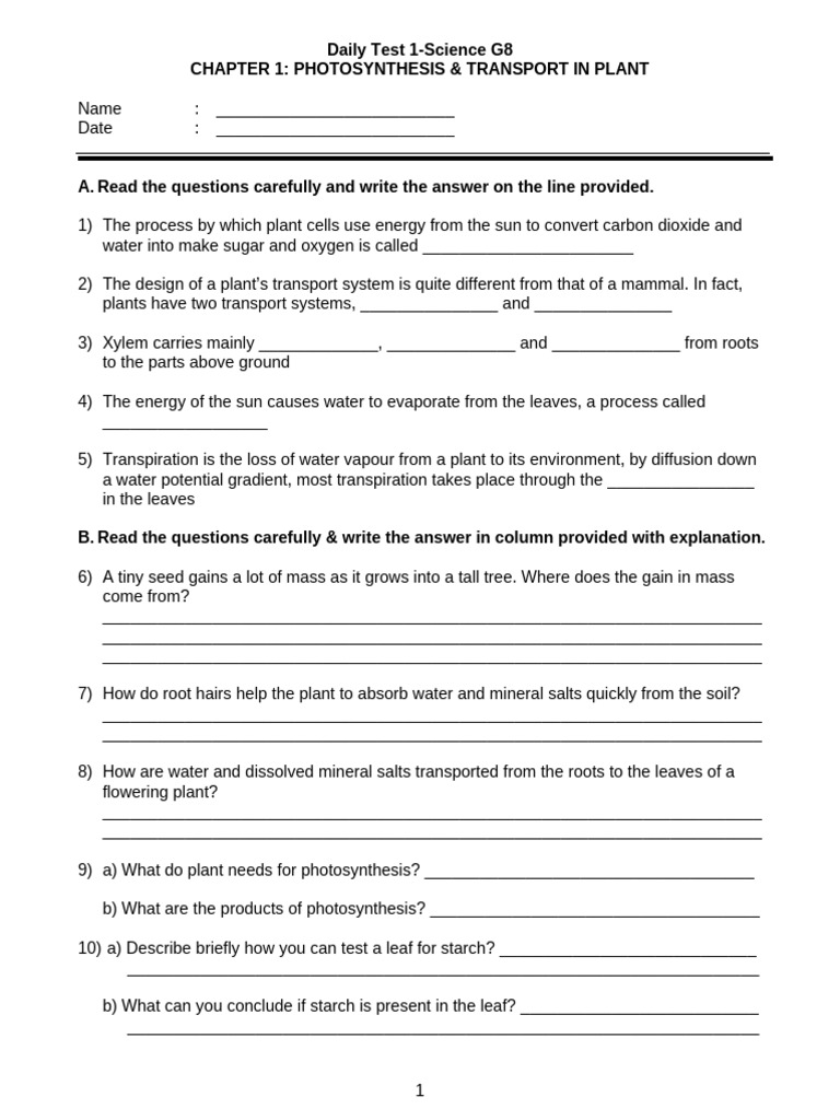 1. Daily Test 1 Science G8 | PDF | Leaf | Plants