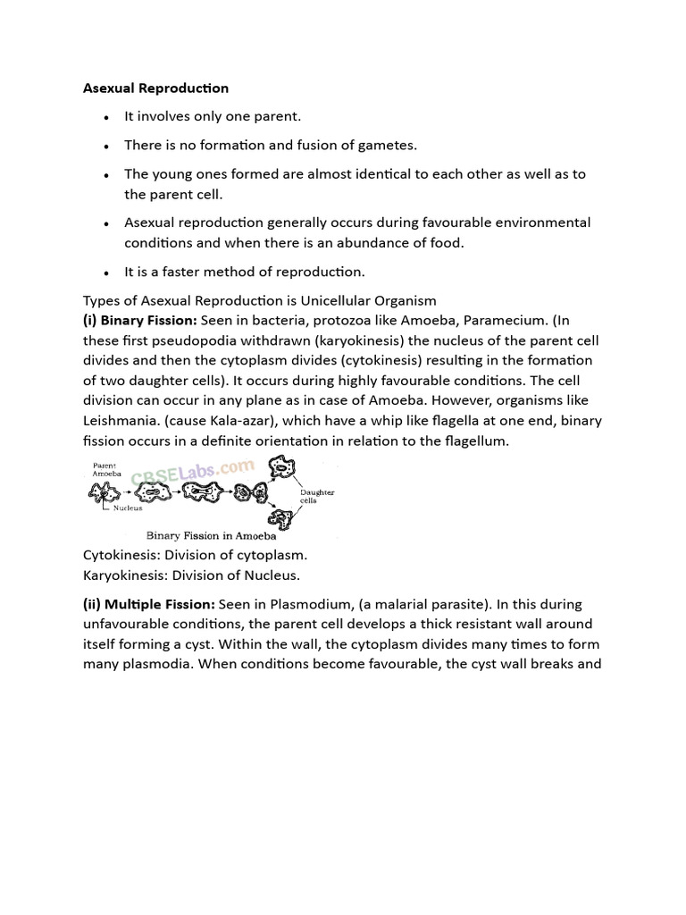Asexual and Sexual Reproduction Explained | PDF | Flowers | Fertilisation