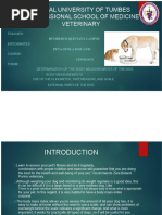 Dog Body Surface Area Conversion Chart | PDF | Metrology | Human Body