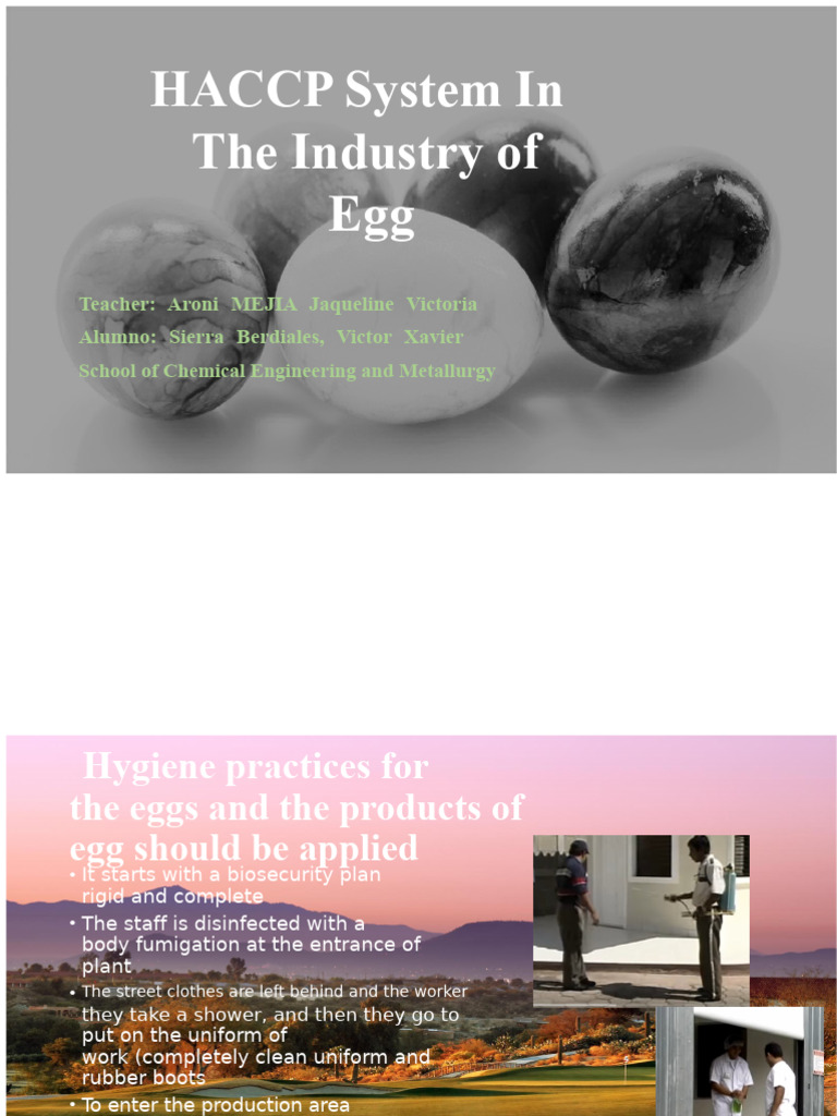HACCP Practices in Egg Production | PDF