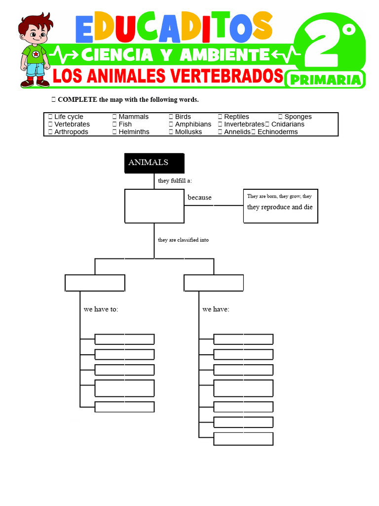 Animal Classification and Life Cycle | PDF | Amphibian | Vertebrates