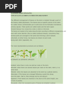 Leaf Attachment and Arrangement Guide | PDF | Leaf | Botany
