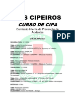 Curso CIPA com cronograma de palestras