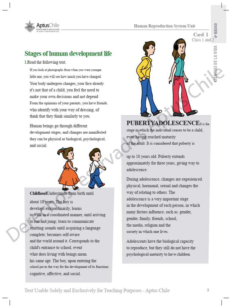 Puberty booklet 2014 | PDF | Adolescence | Adults