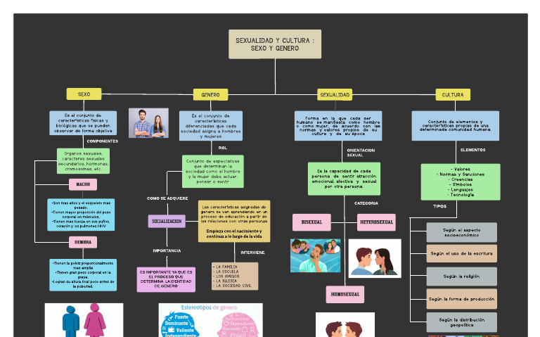 Conceptual Map Sex Gender Sexuality and Culture | PDF