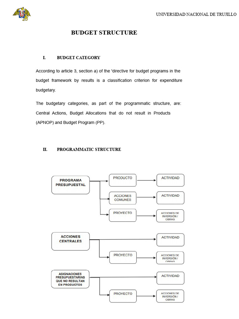 BUDGET STRUCTURE WEEK 8.docx | PDF | Peru | Budget