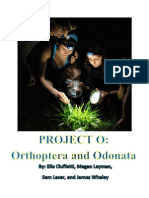 Project O Final Paper 2012