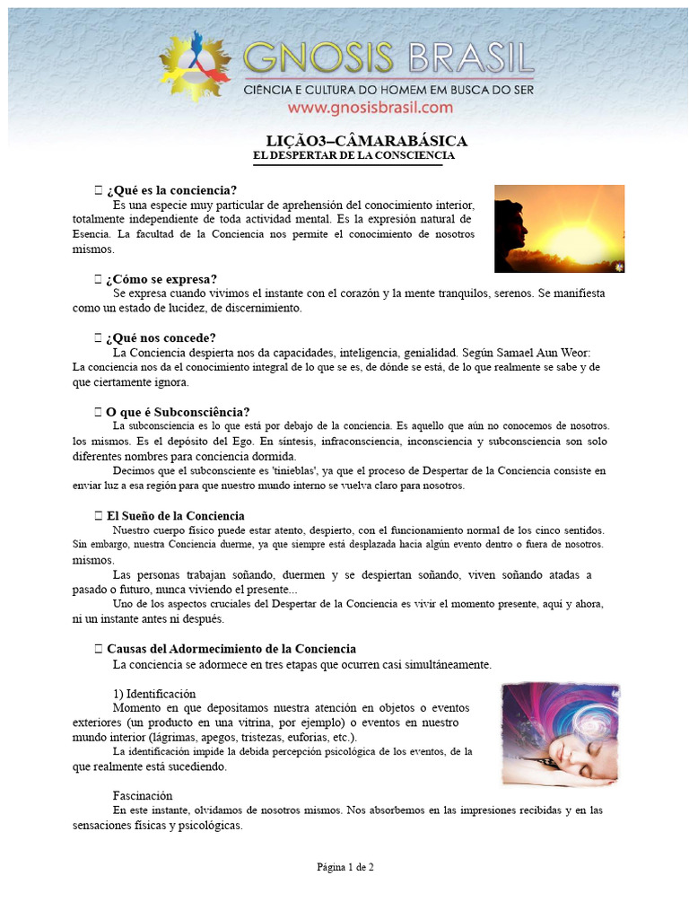 Despertar de la Conciencia: Guía Esencial | PDF | Conciencia | Conciencia