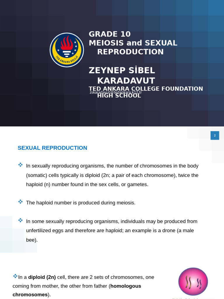 Meiosis and Sexual Reproduction Overview | PDF | Meiosis | Sexual ...