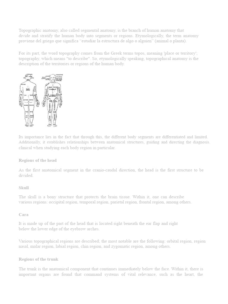 Understanding Topographic Anatomy | PDF | Human Leg | Anatomical Terms ...