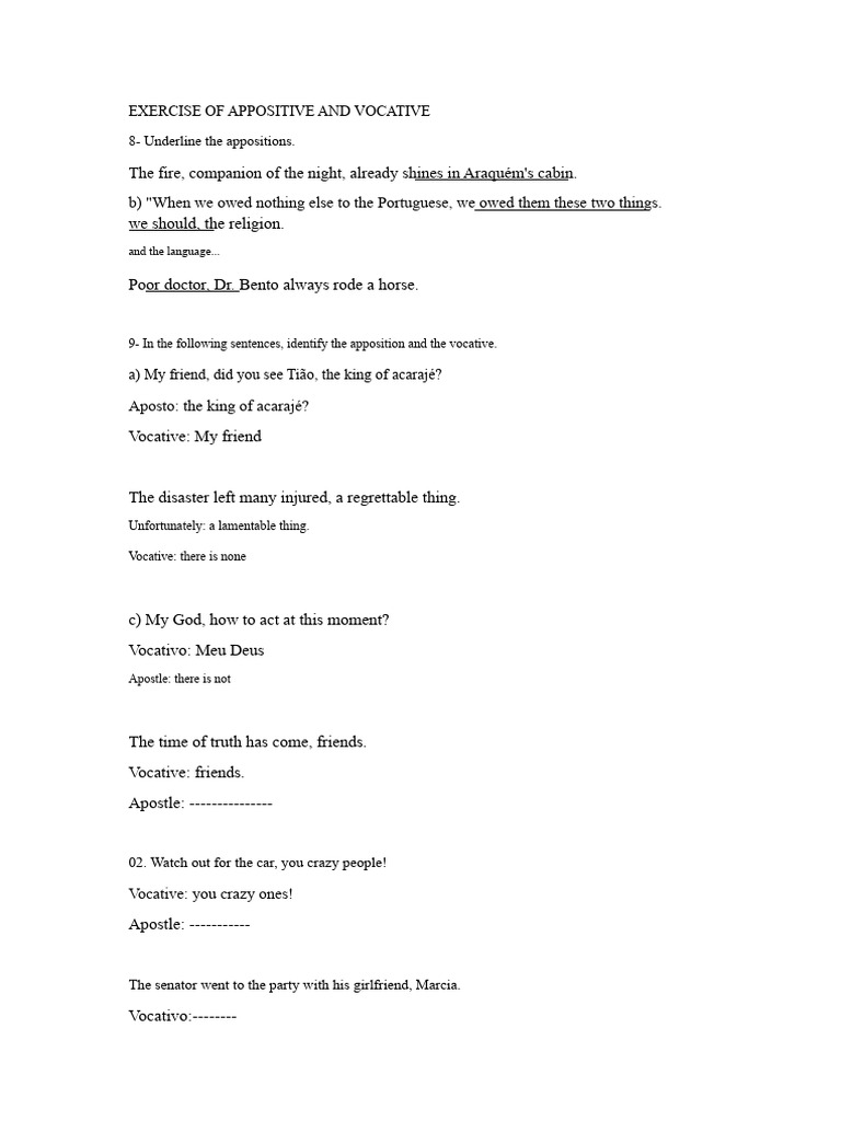 ANSWER KEY ANDRÉ LUCAS - Appositive and Vocative | PDF