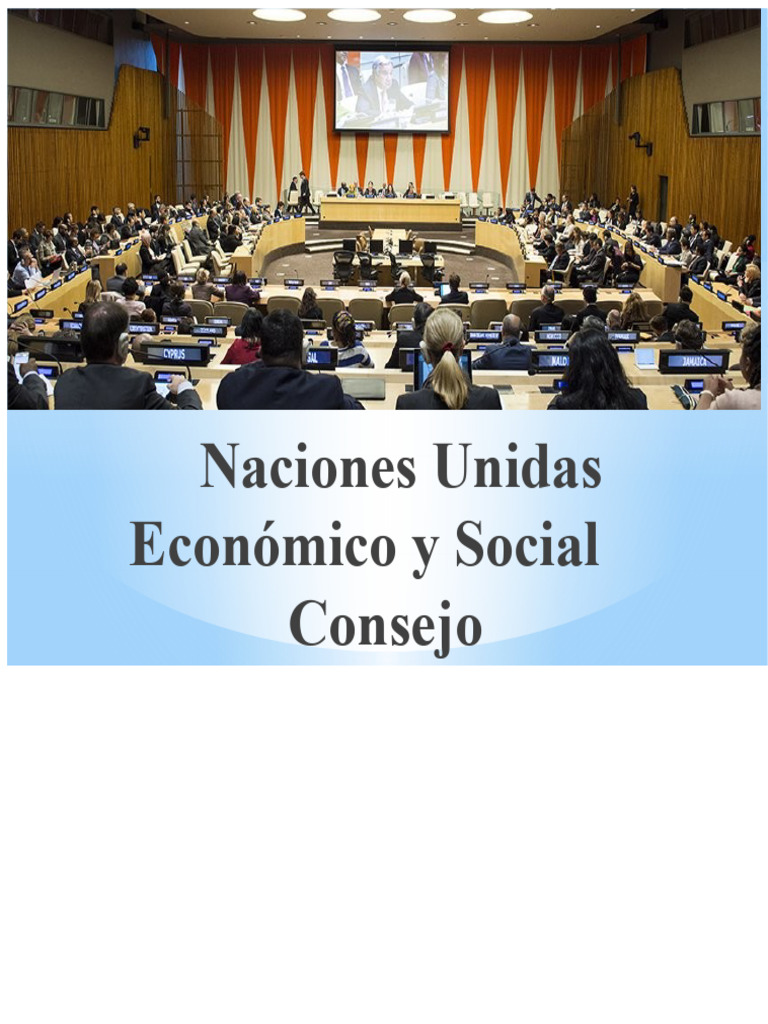 Consejo Económico y Social de la ONU | PDF | Naciones Unidas ...