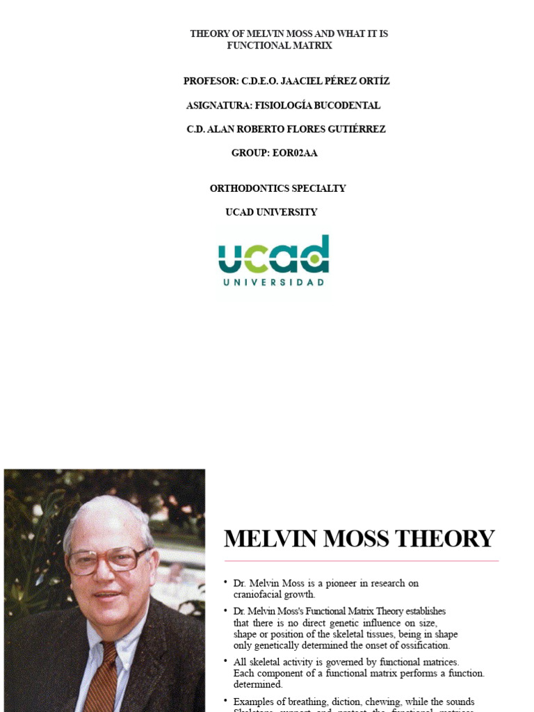 Moss theory | PDF | Skull | Anatomy