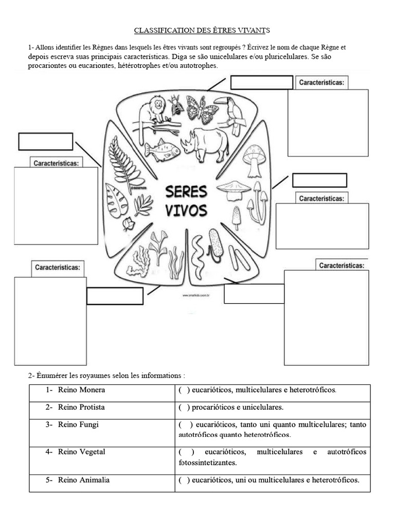 Classification des Règnes des Êtres Vivants | PDF