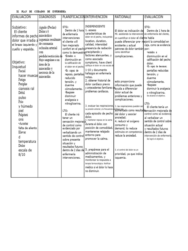 Plan de Cuidados de Enfermería para Dolor Cardíaco | PDF | Infarto de ...