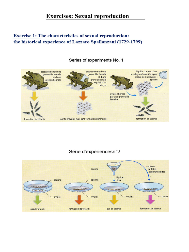 Sexual Reproduction Exercises and Insights | PDF | Fertilisation | Chicken
