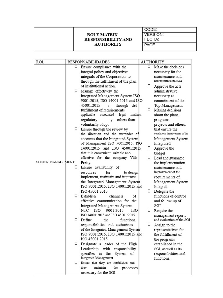 Matrix of Roles, Responsibilities, and Authorities in the Organization ...