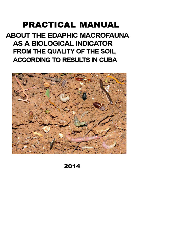 Soil Macrofauna as Soil Quality Indicators | PDF | Insects | Beetle
