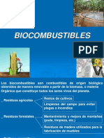 Bio Combustibles