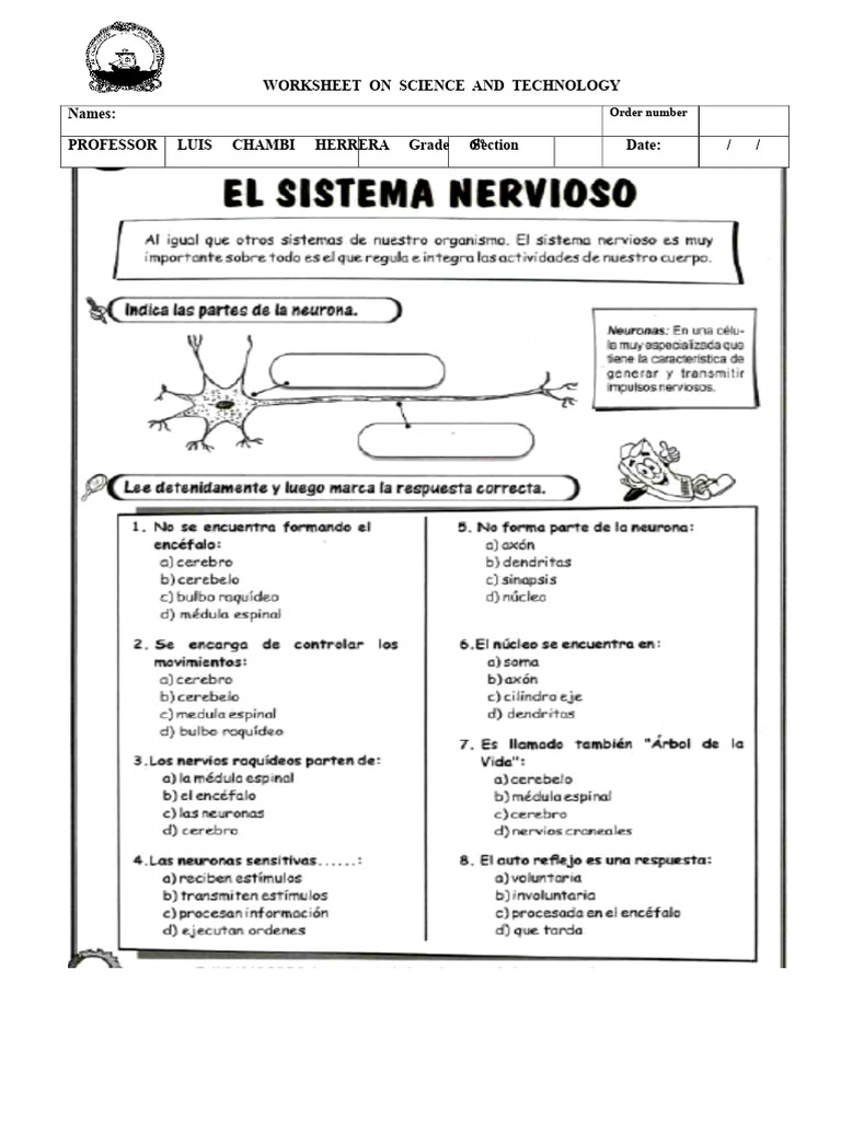 Science and Technology Worksheet | PDF