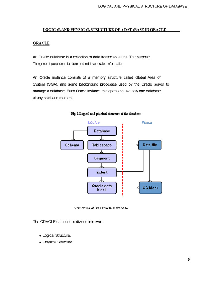 Logical and Physical Structure of an Oracle Database | PDF | Databases ...
