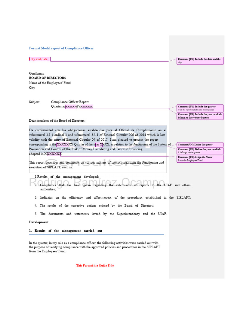 Compliance Officer Report Format Guide | PDF