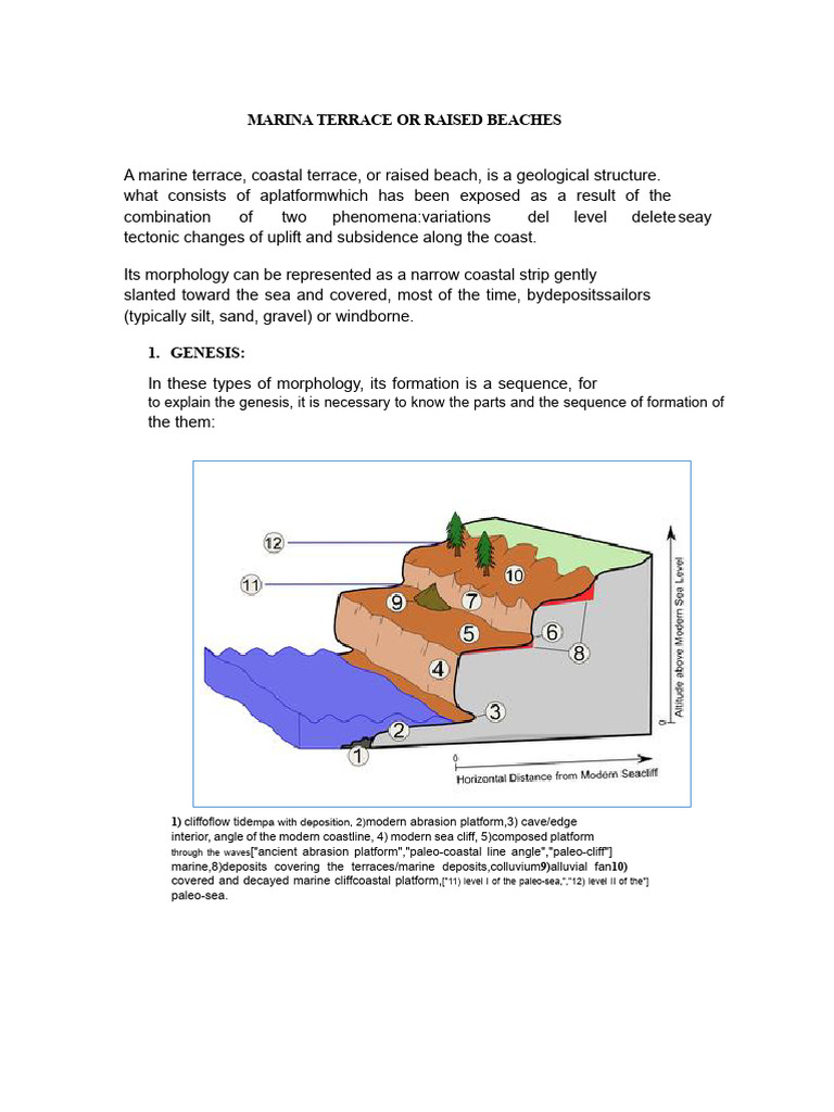 Marina Terrace or Elevated Beaches | PDF | Sea Level | Coast
