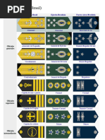 Grados y Rangos del Ejército de Chile | PDF | Oficial general | Alférez