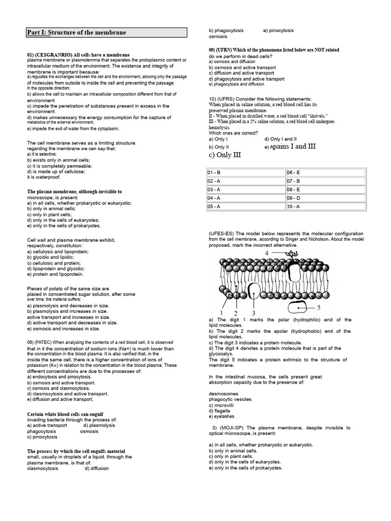 Cell Membrane Structure and Functions | PDF | Cell Membrane | Cell ...