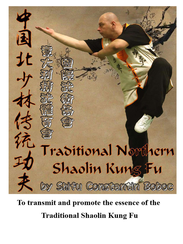 Comprehensive Shaolin Kung Fu Guide | PDF | Chinese Martial Arts | Qigong