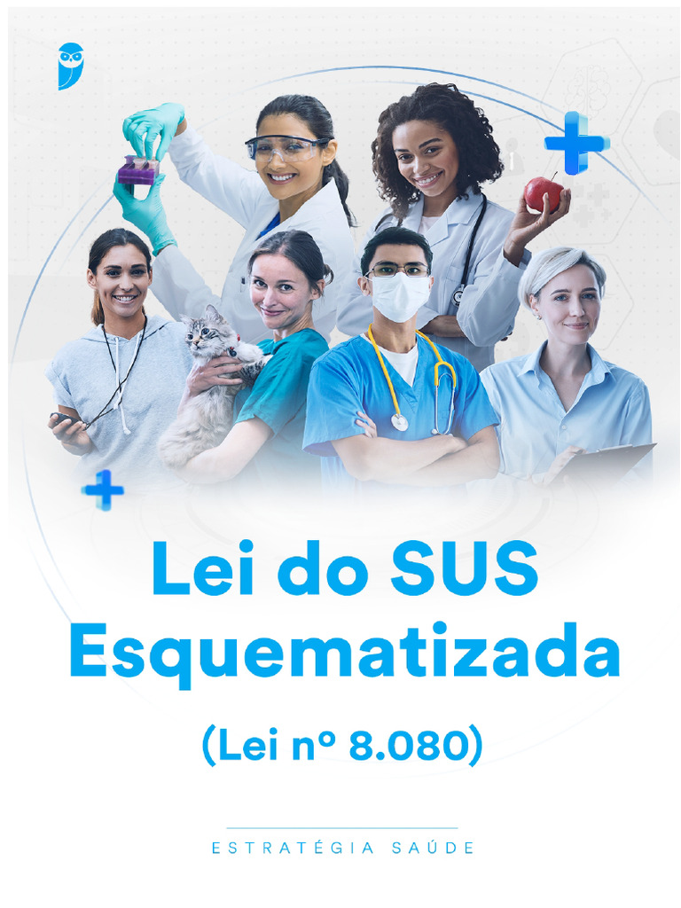 Overview of Federal Law 8.080/90 SUS | PDF | Occupational Safety And ...