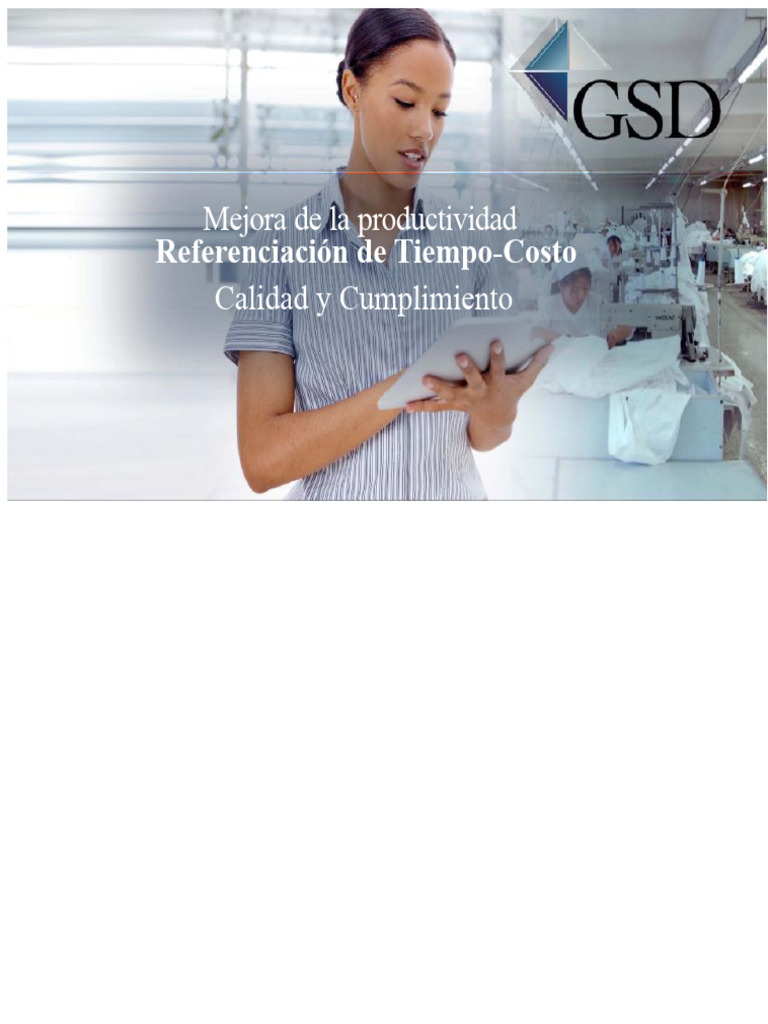 Estándares Internacionales GSD en Confección | PDF | Software | Sector ...