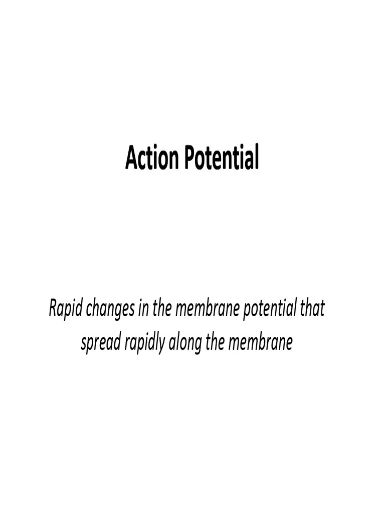 03 Action Potential | PDF