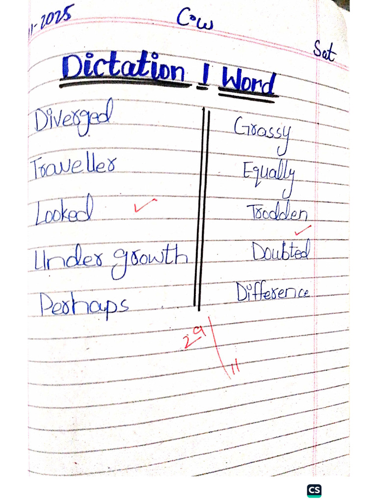 5 Class Notes 29-11-2025 | PDF