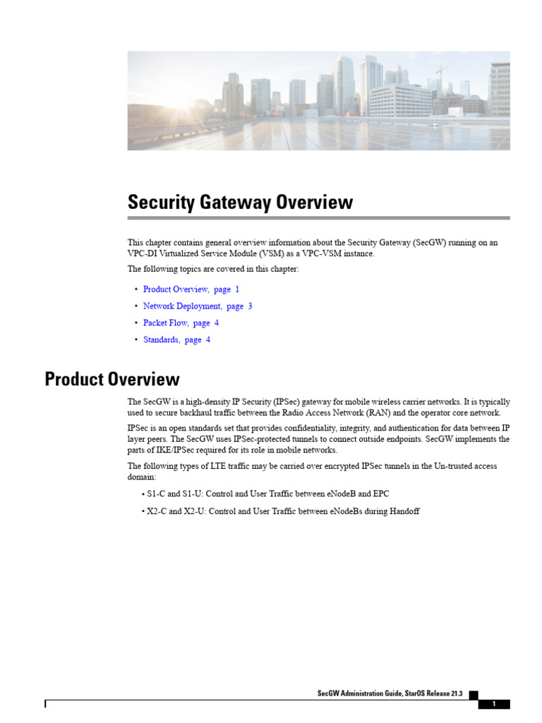 Security Gateway Overview for VPC-DI | PDF | Internet Protocols ...