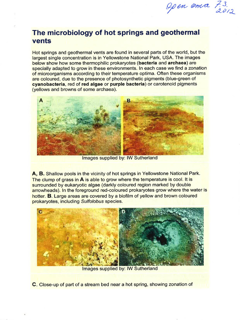 Hot Springs and Compost Bacteria 2012 | PDF