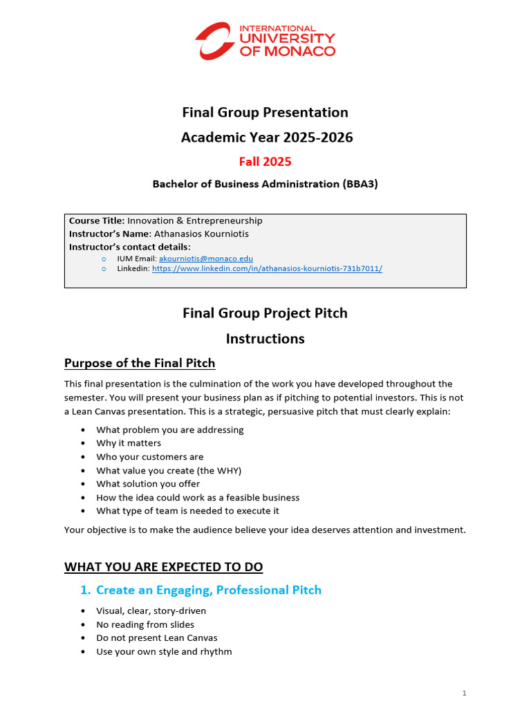 Final Group Pitch Guidelines BBA3 | PDF | Cognition