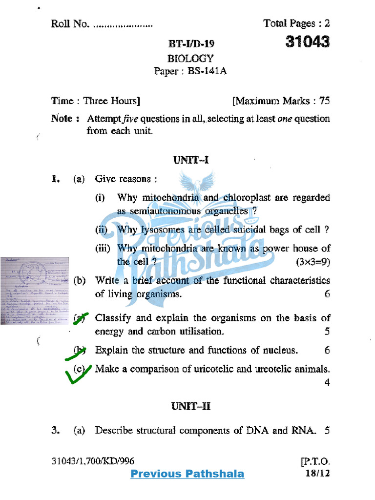 Previous Pathshala | PDF
