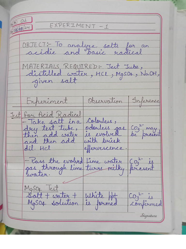 Chemistry Lab Manual | PDF