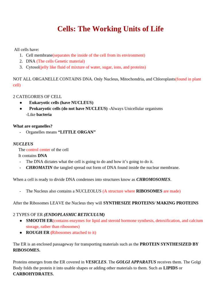 Gen Bio Notes | PDF | Endoplasmic Reticulum | Cell (Biology)