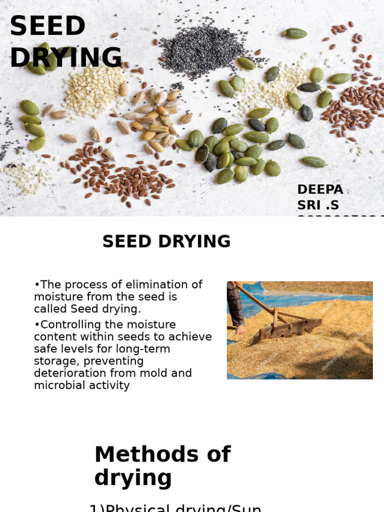 Seed Drying Methods Explained | PDF