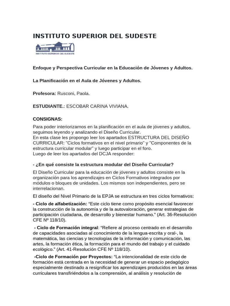 Diseño Curricular para Educación de Adultos | PDF | Plan de estudios ...