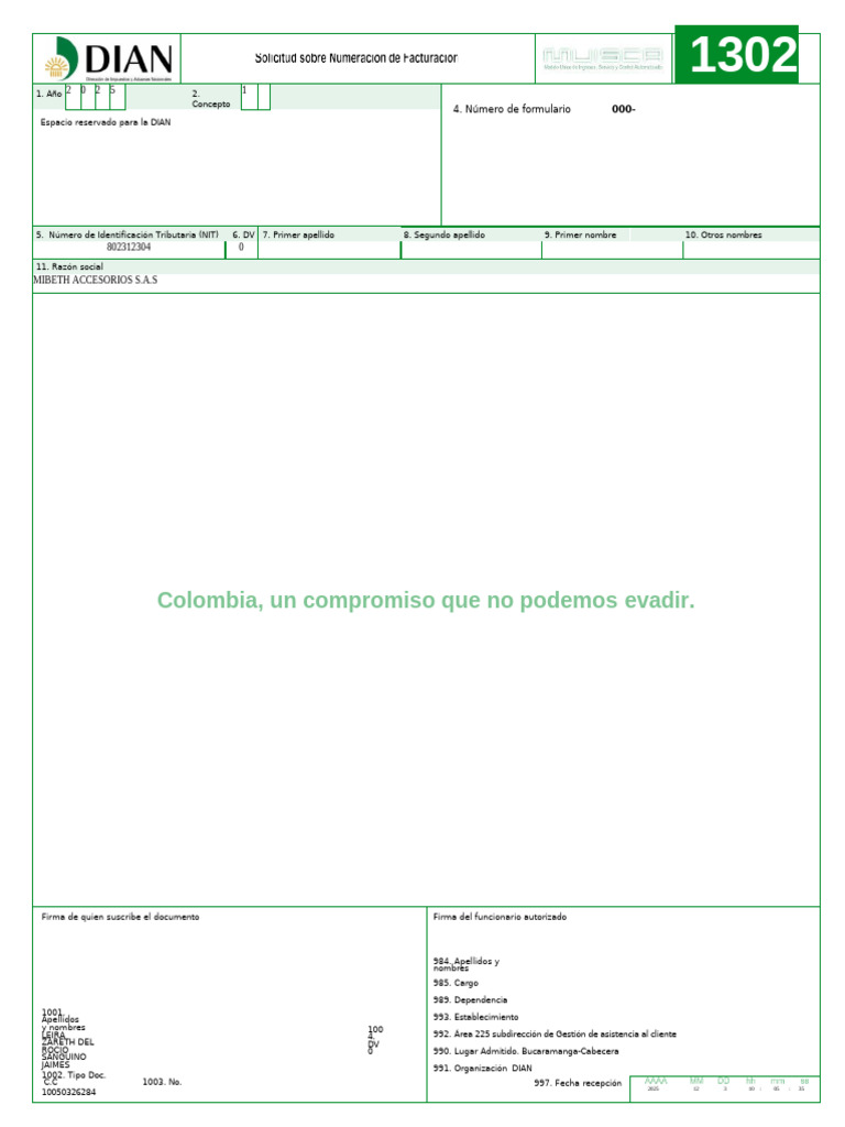 Instructivo Formato 1302 DIAN Facturación | PDF