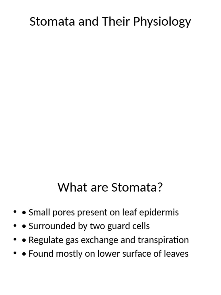 Stomata: Structure, Function, and Regulation | PDF